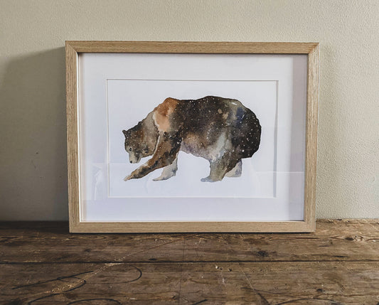 Hand illustrated Brown bear print