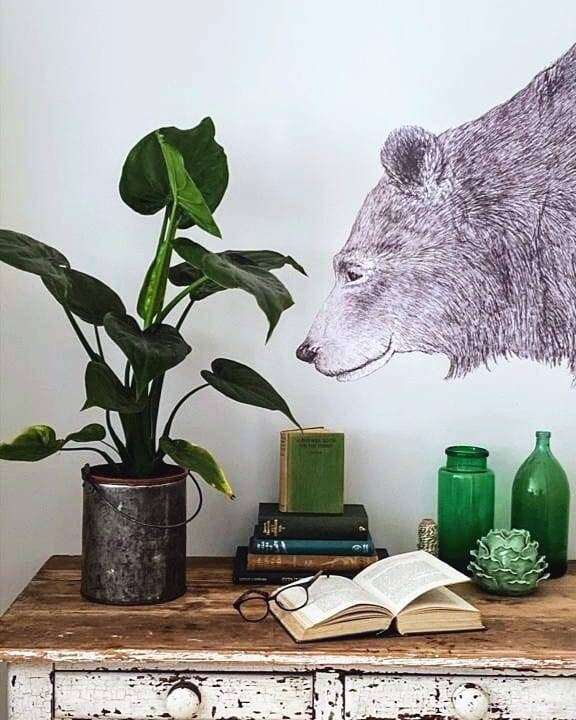 Large Grizzly Bear Wall decal