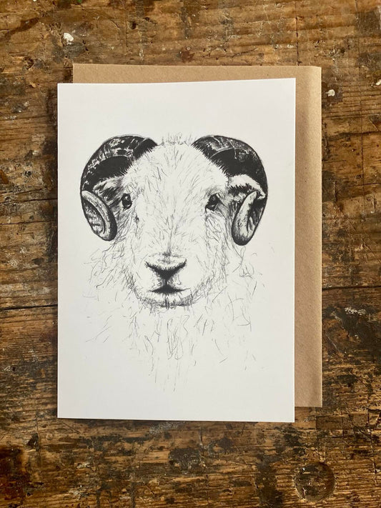 Hand illustrated Herdwick Greetings card blank