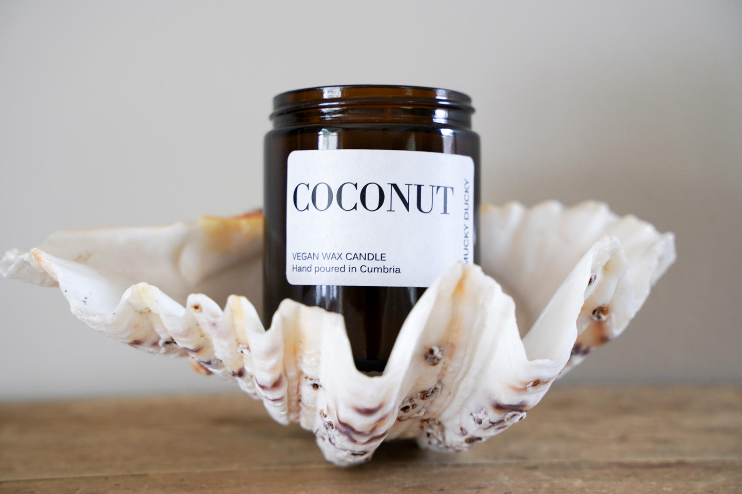 Coconut scented candle